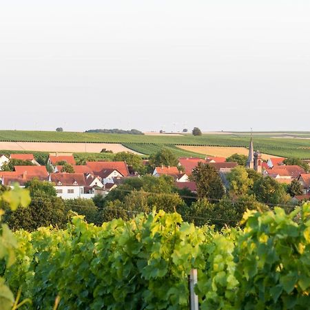 Weingut Und Gaestehaus Henrici Friesenheim is an Ortsgemeinde Екстериор снимка